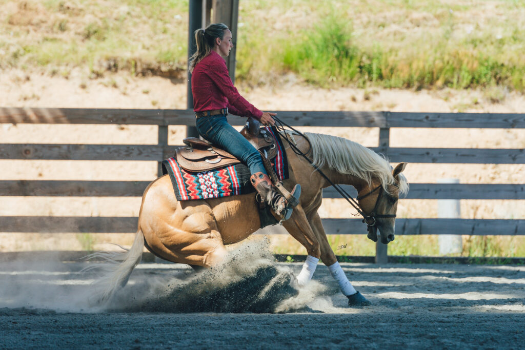 Reining équitation western