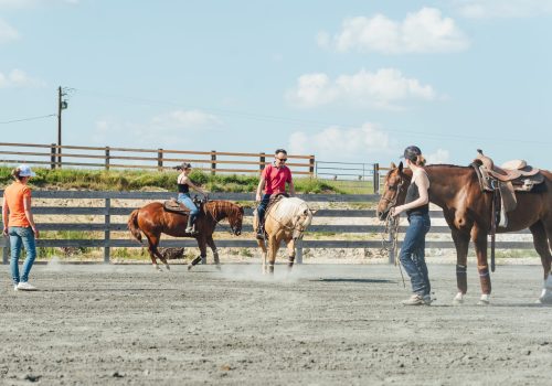 Cours équitation western apprendre l'équitation western reining moniteur diplômée ranch France Corrèze